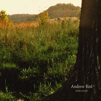 Effigy - Andrew Bird