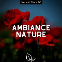 Méditez dans votre oasis - Sons de la Nature FR