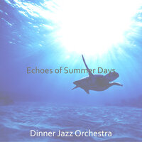 Marvellous Summertime - Dinner Jazz Orchestra