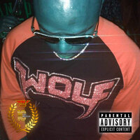 Read My Mind - Wolf Harris
