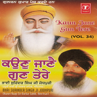Tu Sabni Thaeen - Bhai Surinder Singh