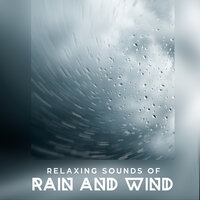 Rain Falling On Grass - Sounds of Nature Kingdom