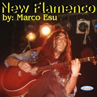New Flamenco 4 - Marco Esu