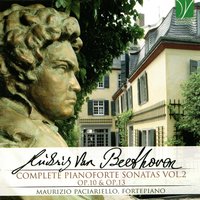 Piano Sonata No. 7 in D Major, Op. 10 No. 3: III. Minuet. Allegro - Maurizio Paciariello & Ludwig van Beethoven
