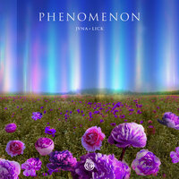 Phenomenon - JVNA & LICK