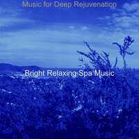 Sprightly Complete Relaxation - Bright Relaxing Spa Music
