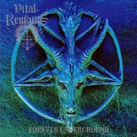 Divine in fire - Vital Remains