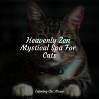 Calm and Serene - Cat Music Dreams & Calm Music for Cats & Official Pet Care Collection