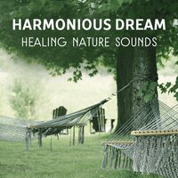 Spiritual Meditation (Mental Time) - Dream Moods Music Academy