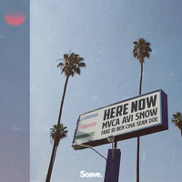 Here Now - Avi Snow & MVCA & Fake ID & Ben Cina & Sean Doe