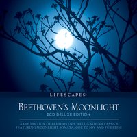 Violin Sonata No.5, Op.24: II. Adagio molto expressivo - Wayne Jones & Ludwig van Beethoven