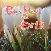 Trú mưa - Hà Phương & Tuấn Dũng
