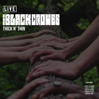 Shake 'Em on Down/Get Back/Walk with Jesus - The Black Crowes