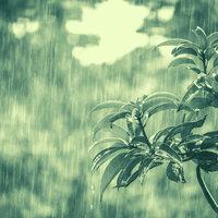Dream-Like Backdrops for Mental Clarity - Rain and Thunder Sounds Playlist