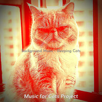 Music (Cats) - Music for Cats Project
