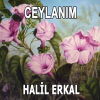 Aşka Veda Olmuyor - Halil Erkal