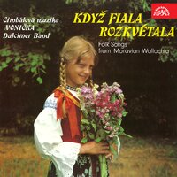 Pod kupečku - vybírala sem si - mlynáři, šafáři - Dívčí cimbálová muzika Vonička & Dívčí Trio Kalina & Jindřiška Maťátková