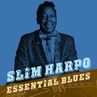 One More Day - Slim Harpo