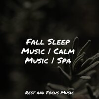 Sounds of Paradise - Echoes of Nature & Spa Music Collective & Pro Sound Effects Library