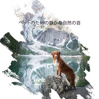 愛と信頼 - リラックスした音楽のアカデミー