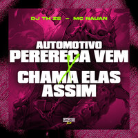 Automotivo Perereca Vem X Chama Elas Assim - DJ TH ZS & MC Nauan