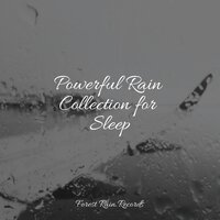 Playful River - Sons da Natureza & Music For Absolute Sleep & Oasis of Meditation