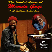 (I'm Afraid) the Masquerade Is Over - Marvin Gaye