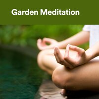 Hibiscus - Zen Garden Secrets