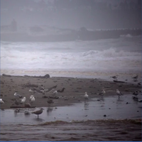 Very Rainy Day at the Beach - White Noise Alternative & Ocean Rain & Ocean Atmospheres & White Noise Alternatives & Ocean Currents & Ocean Noises