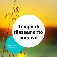 Acquisisci potenza (Atmosfera notturna) - Suoni Della Natura IT
