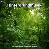 Hinreißende Erscheinung - Entspannungsmusik zur Tiefenentspannung & Schlafmusik & Entspannungsmusik