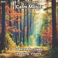 Metta Meditation - Relaxing Music by Marlon Sallow & Yoga & Relaxing Spa Music