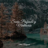 Horizontes Mentales - Musica Para Meditar & Relajación Meditar Academie & Música Para Dormir Inspirada En El Espacio