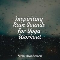 Rain Drops - Classical Lullabies & Rain for Deep Sleep & Sampling XL