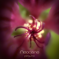 Neogene - Jarguna