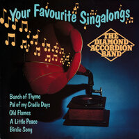 Medley: My Guy’s Come Back / Little Brown Jug / American Patrol / In The Mood - The Diamond Accordion Band
