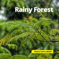 Taking a Walk with Rain - Rain Sounds & Nature Sounds & Sample Rain Library