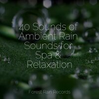 Rain and Thunder - Rain Sounds & Rain Sound Studio & The Rain Library