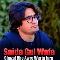 Janana Ta Pase Khafa Yam - Saida Gul Wafa