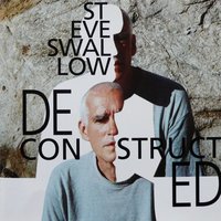 Bird World War - Steve Swallow