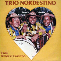 Lembranca de Voce - Trio Nordestino