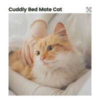 A Cat Sound for Calming - Cat Music