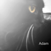 Prologue - Adam