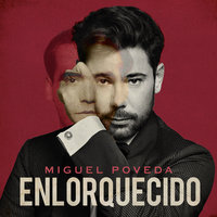 ¡Ay, Voz Secreta Del Amor Oscuro! - Miguel Poveda