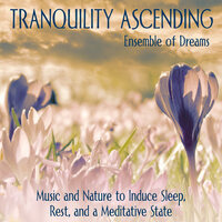 Feeling the Flow - The Spiritual Voyager