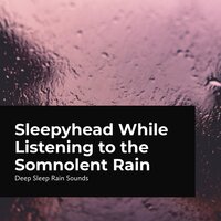 Doze off in the Rain - Deep Sleep Rain Sounds