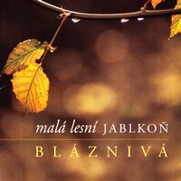 Nejkrásnější ze všech manželů - Jablkoň