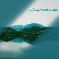 Gentle Piano - Serenity Nature Sounds Academy