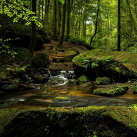 Shower Raindrops - Regengeräusche & Powerthoughts Meditation Club & Natural Samples