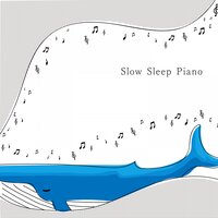 Till I See You Again - Animal Piano Lab